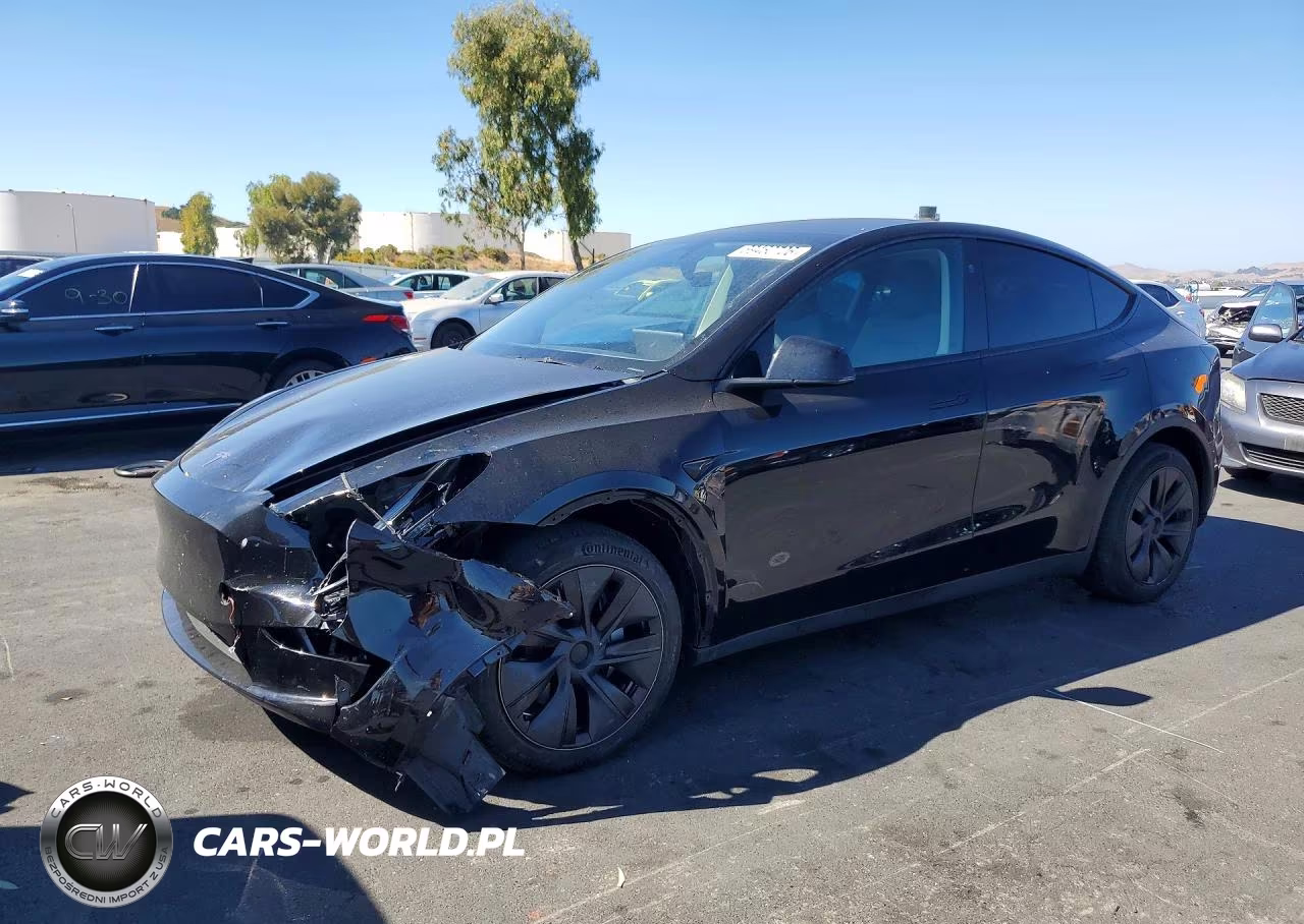 2024 Tesla Model Y VIN:7SAYGDED8RF123452 - 1