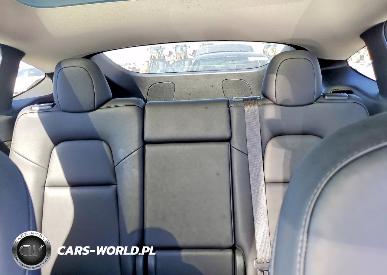 2024 Tesla Model Y VIN:7SAYGDED8RF123452 - 10