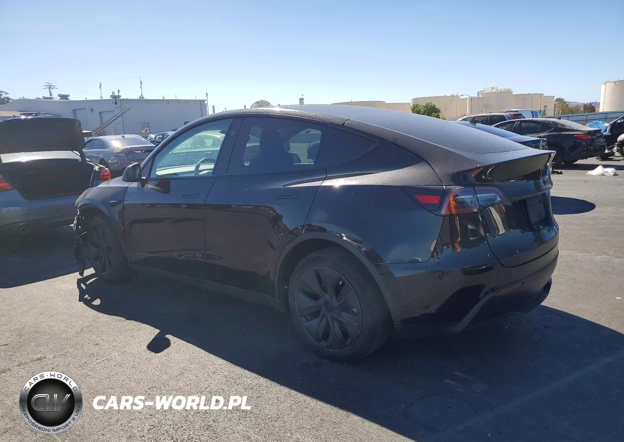 2024 Tesla Model Y VIN:7SAYGDED8RF123452 - 2