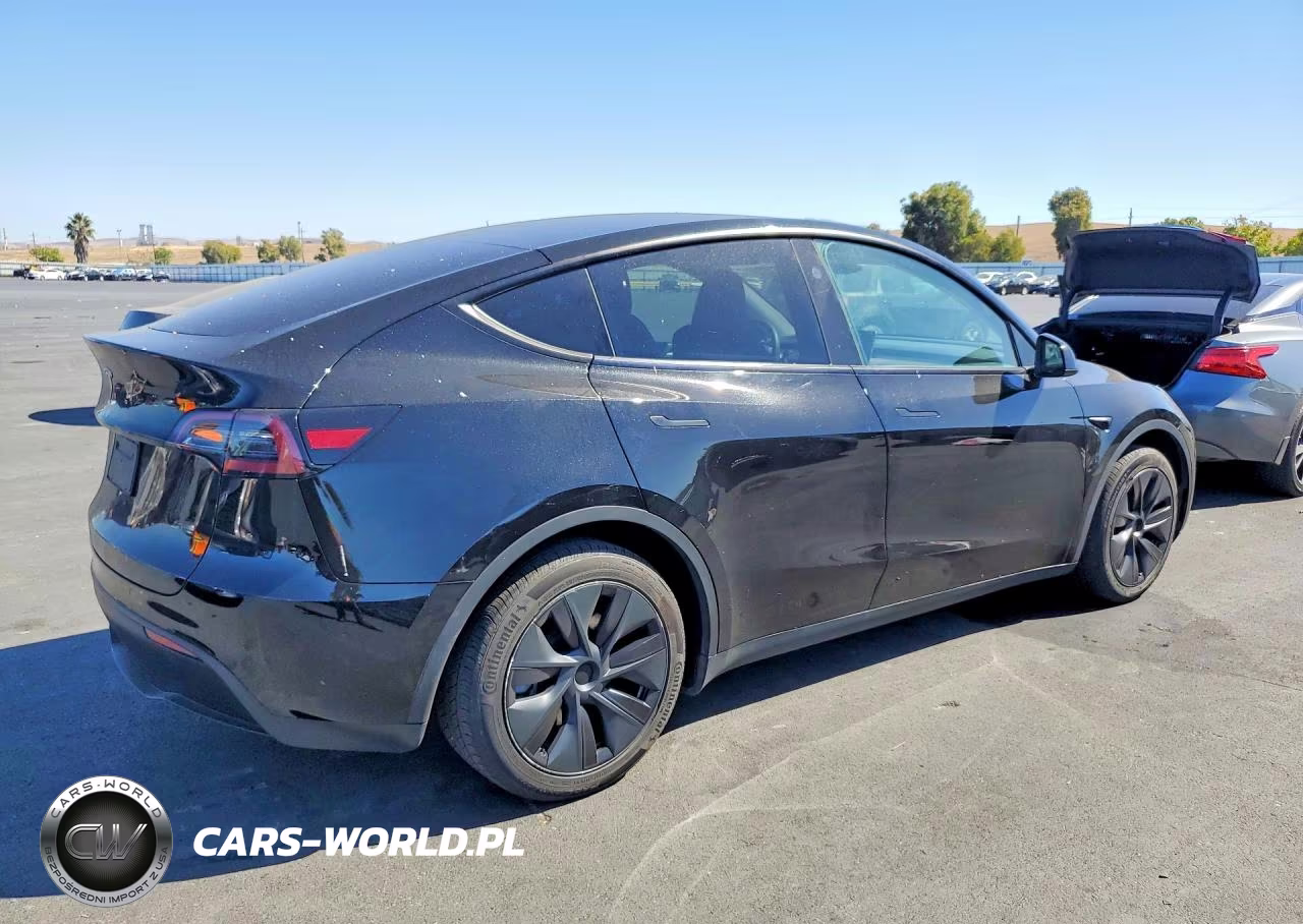 2024 Tesla Model Y VIN:7SAYGDED8RF123452 - 3