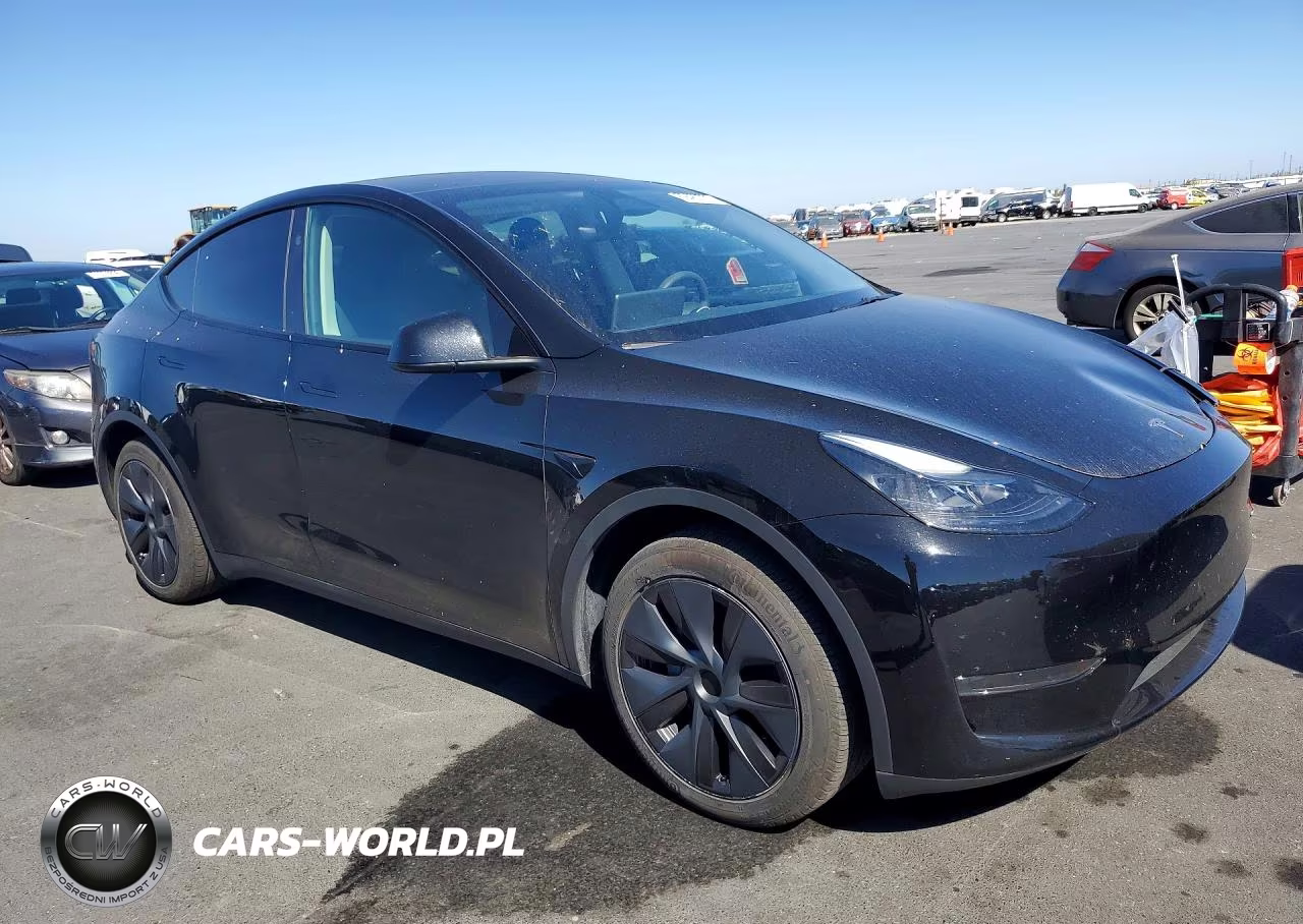 2024 Tesla Model Y VIN:7SAYGDED8RF123452 - 4
