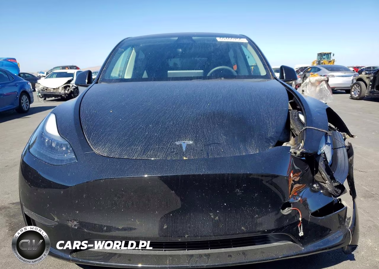 2024 Tesla Model Y VIN:7SAYGDED8RF123452 - 5