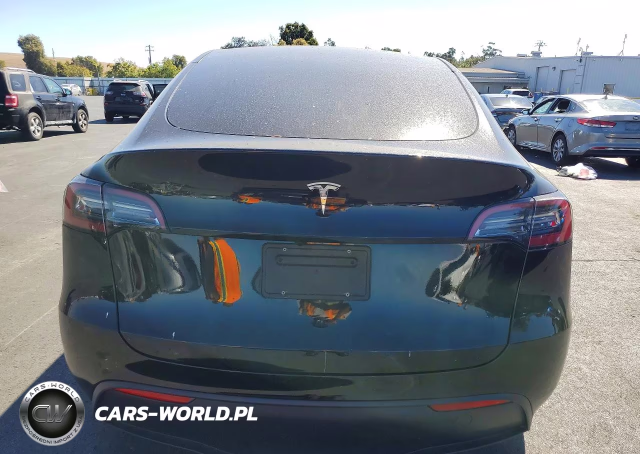2024 Tesla Model Y VIN:7SAYGDED8RF123452 - 6