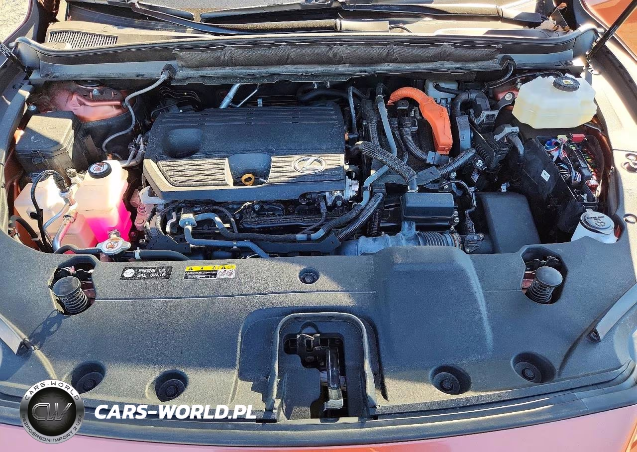 2023 Lexus Rx 350H Luxury VIN:2T2BBMCA7PC005075 - 12