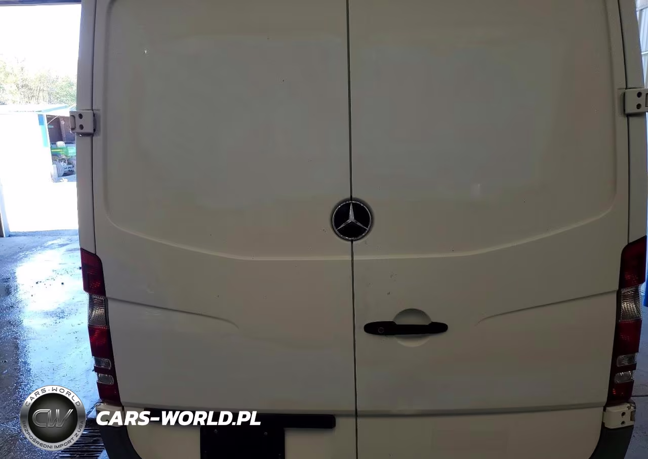 2016 Mercedes-Benz Sprinter 2500 Delivery Van VIN:WD3PE7DD9GP310942 - 10