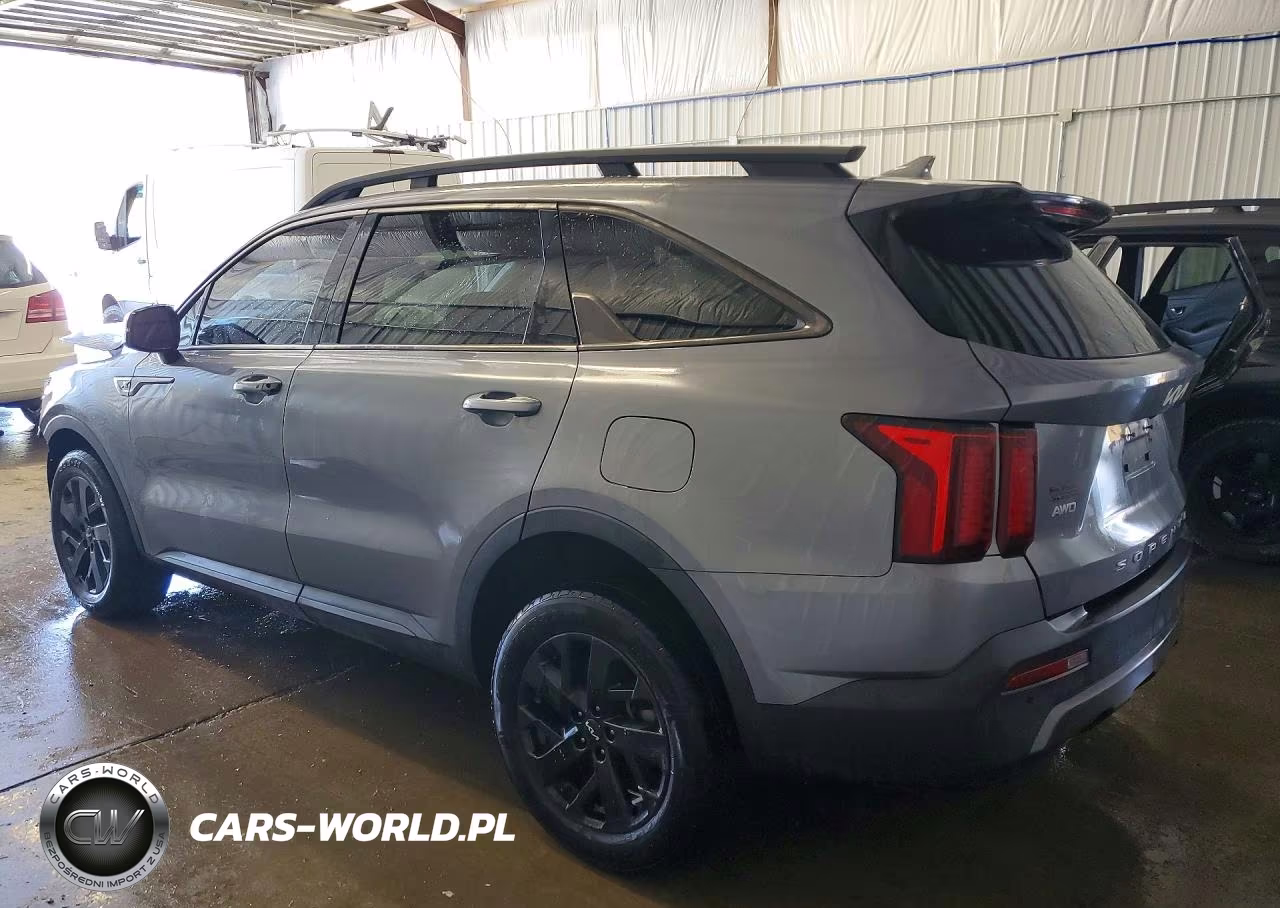 2022 Kia Sorento S VIN:5XYRLDLC9NG082484 - 2
