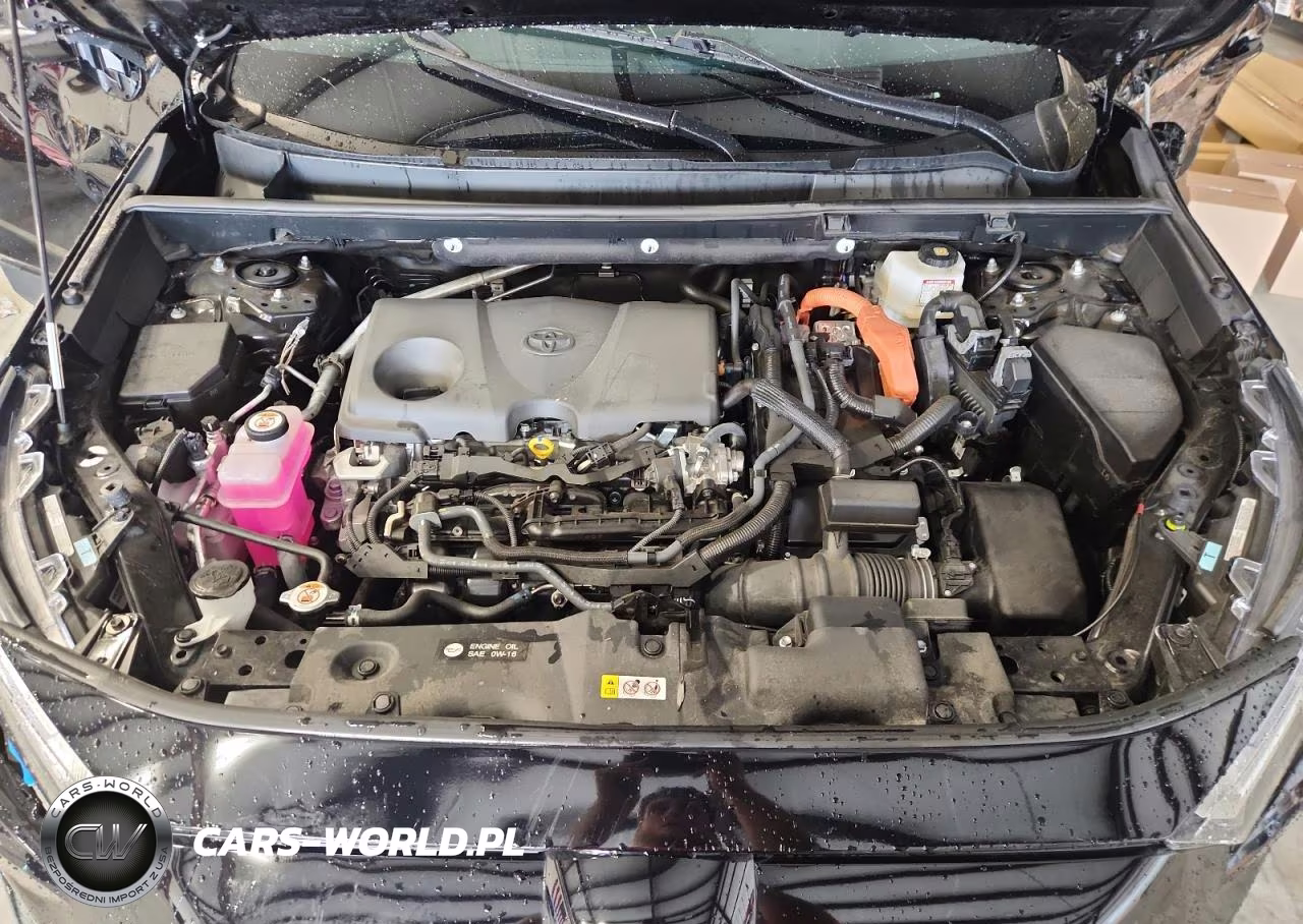 2025 Toyota Rav4 Hybrid Xle VIN:4T3RWRFV9SU194605 - 12