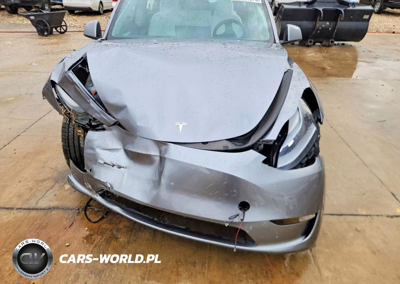 2024 Tesla Model Y VIN:7SAYGDEF7RA309045 - 11
