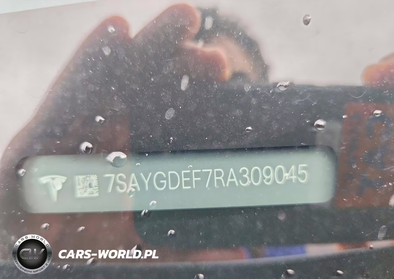 2024 Tesla Model Y VIN:7SAYGDEF7RA309045 - 12
