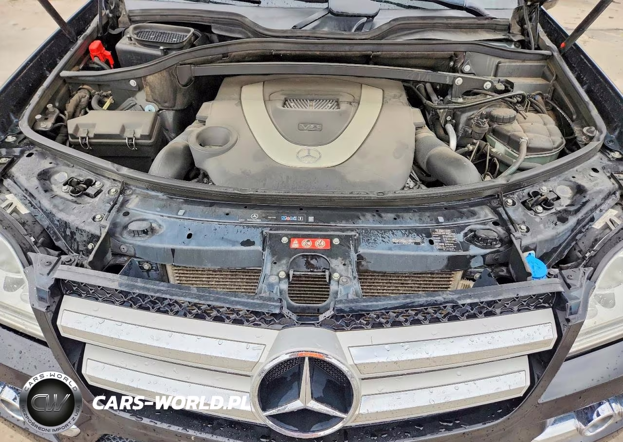 2010 Mercedes-Benz Gl 450 4Matic VIN:4JGBF7BE3AA555640 - 12