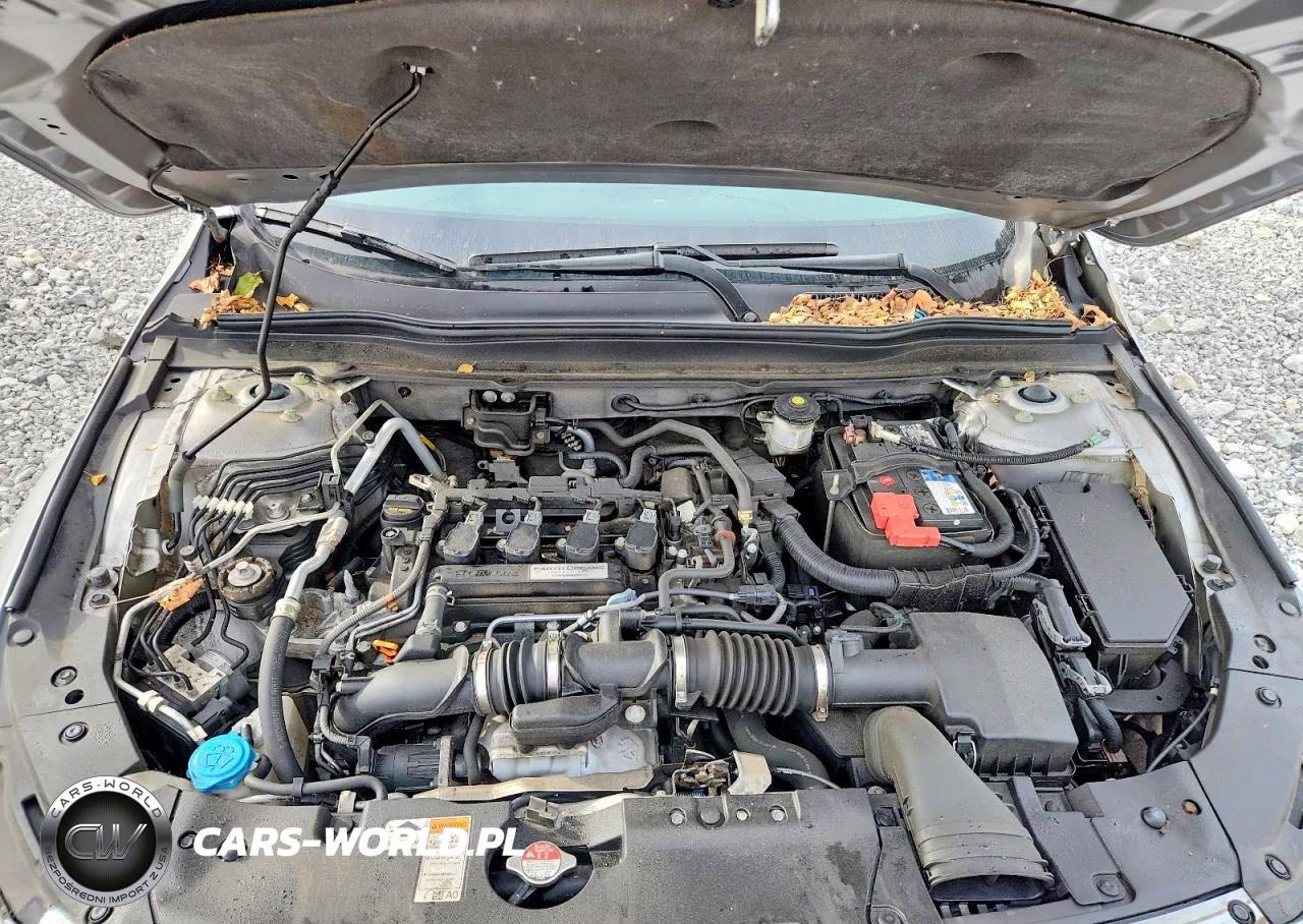 2019 Honda Accord Lx VIN:1HGCV1F17KA091030 - 11