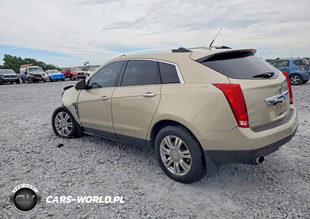 2010 Cadillac Srx Luxury Collection VIN:3GYFNAEY6AS652450 - 2