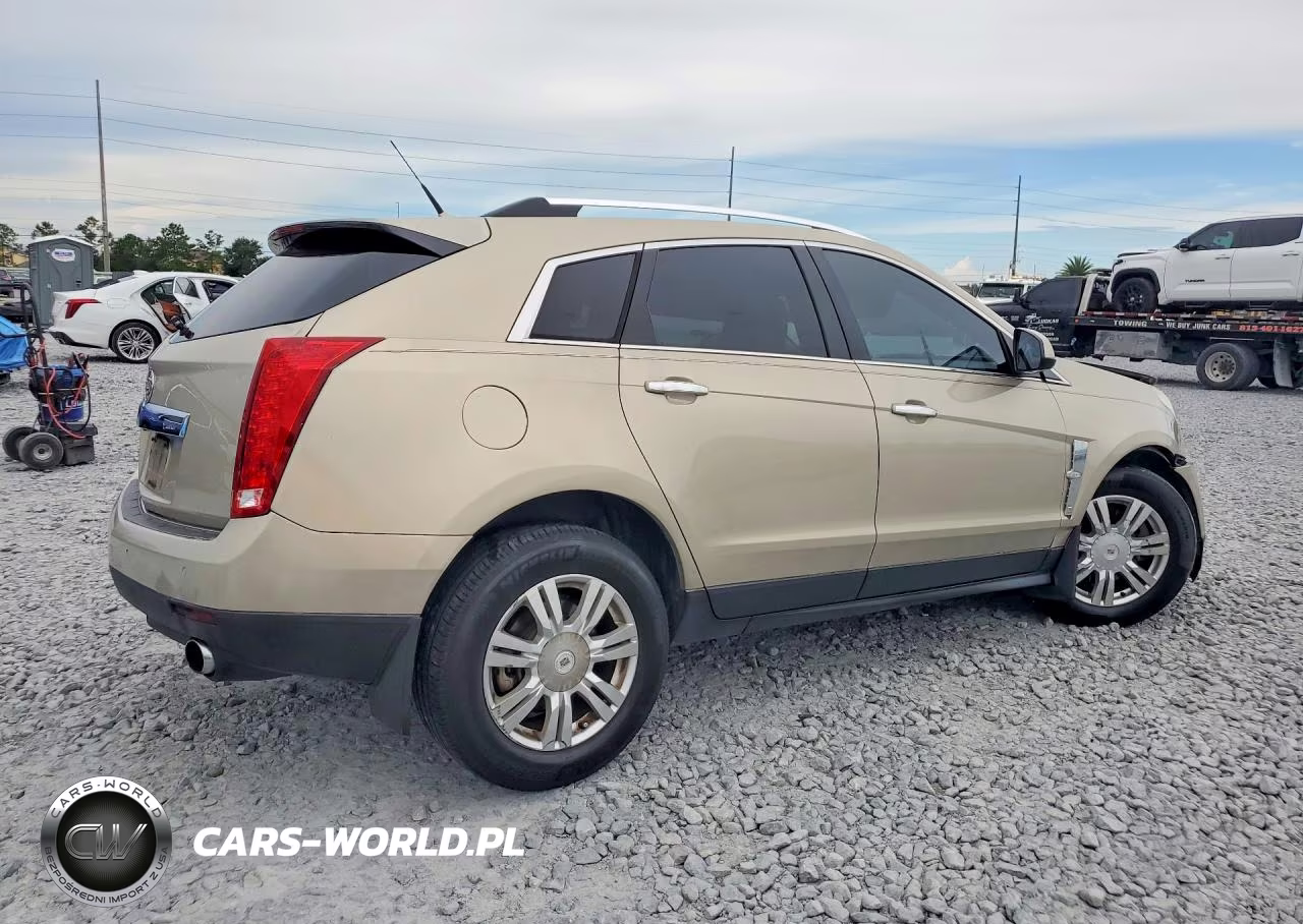 2010 Cadillac Srx Luxury Collection VIN:3GYFNAEY6AS652450 - 3