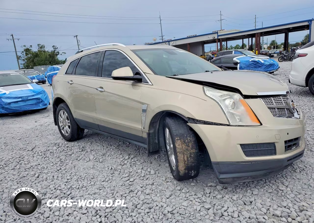 2010 Cadillac Srx Luxury Collection VIN:3GYFNAEY6AS652450 - 4