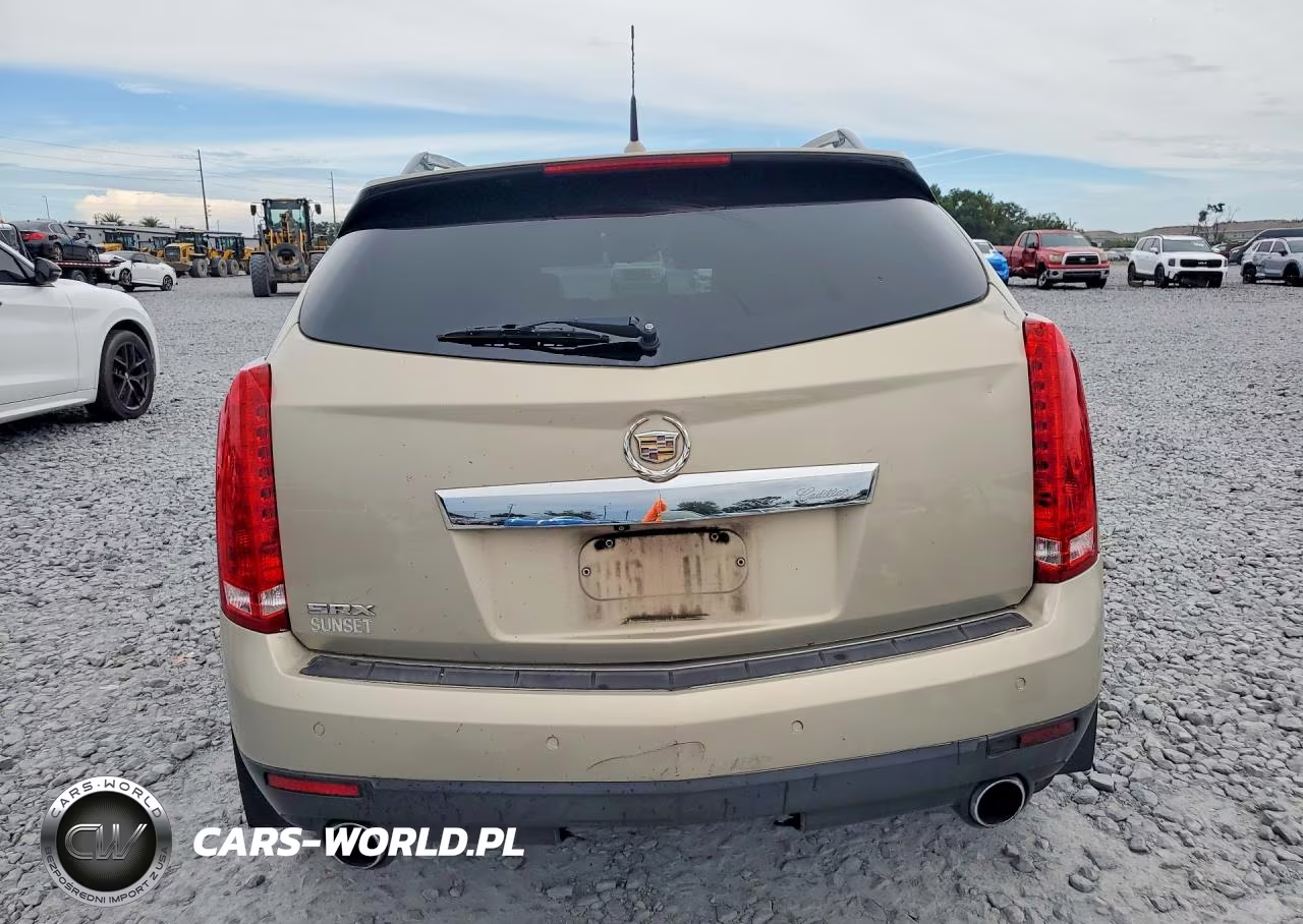2010 Cadillac Srx Luxury Collection VIN:3GYFNAEY6AS652450 - 6