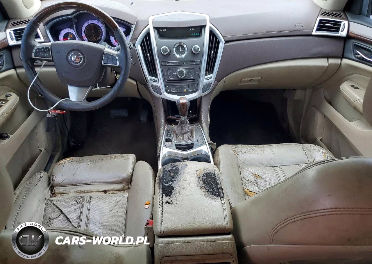 2010 Cadillac Srx Luxury Collection VIN:3GYFNAEY6AS652450 - 8