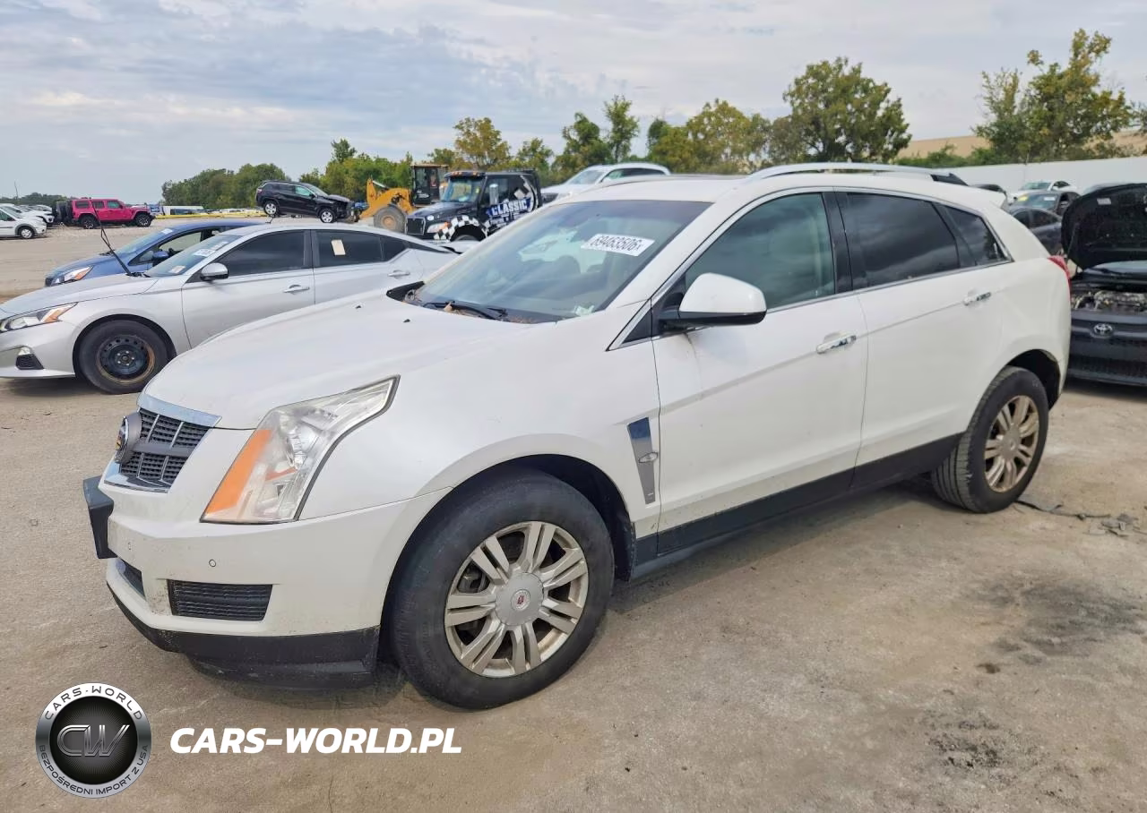 2011 Cadillac Srx Luxury Collection VIN:3GYFNAEY2BS520366 - 1