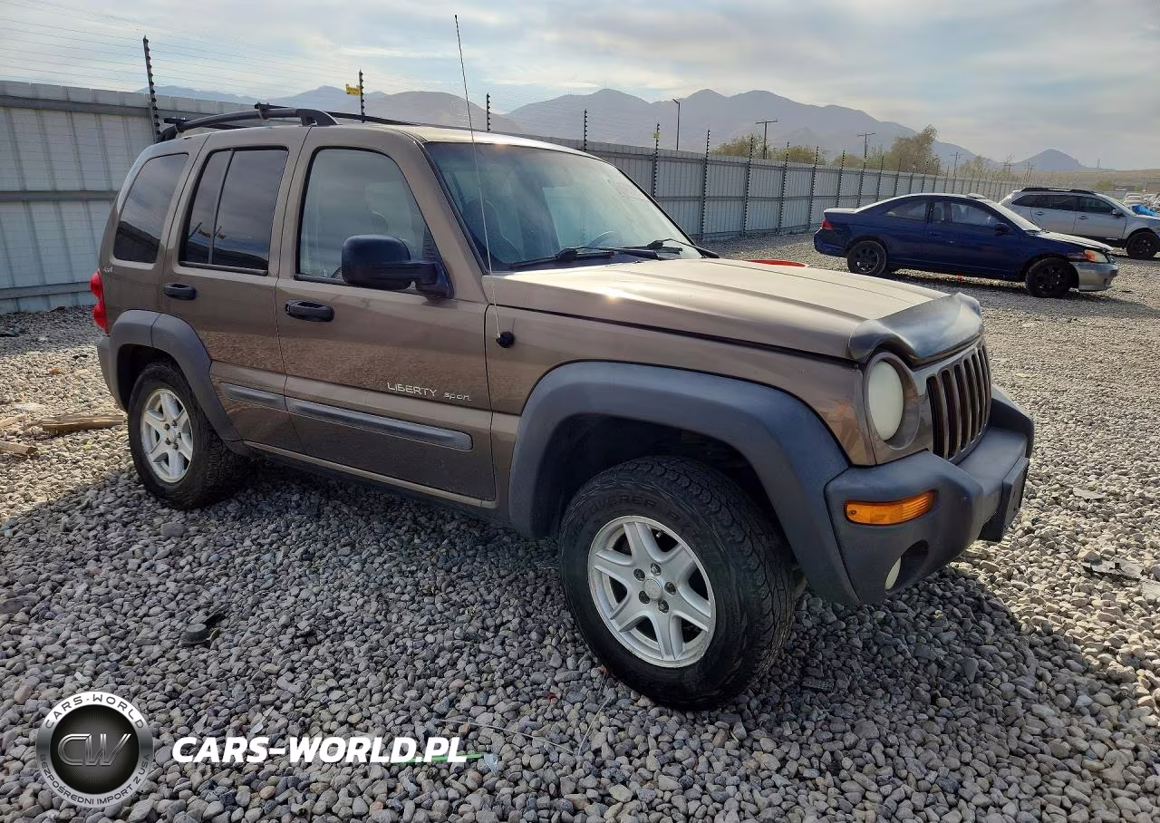 2002 Jeep Liberty Sport VIN:1J4GL48K42W187045 - 4