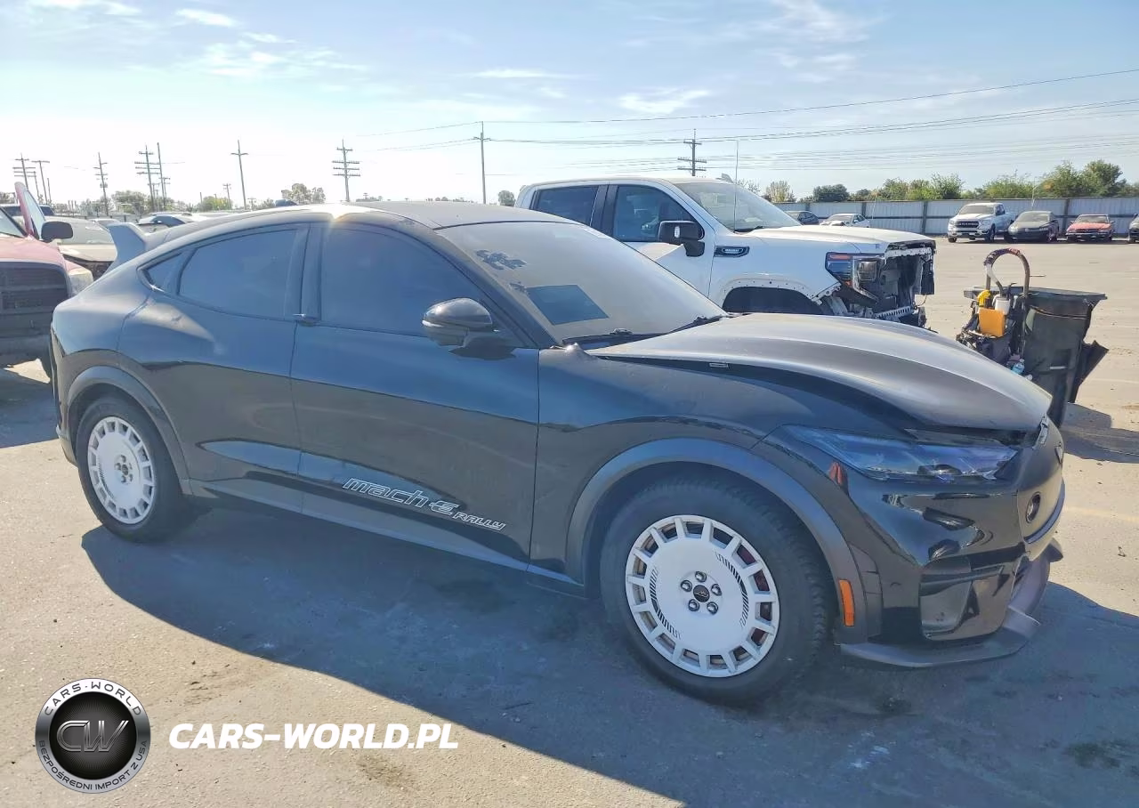 2024 Ford Mustang Mach-E Gt VIN:3FMTK4SX7RMA11916 - 4