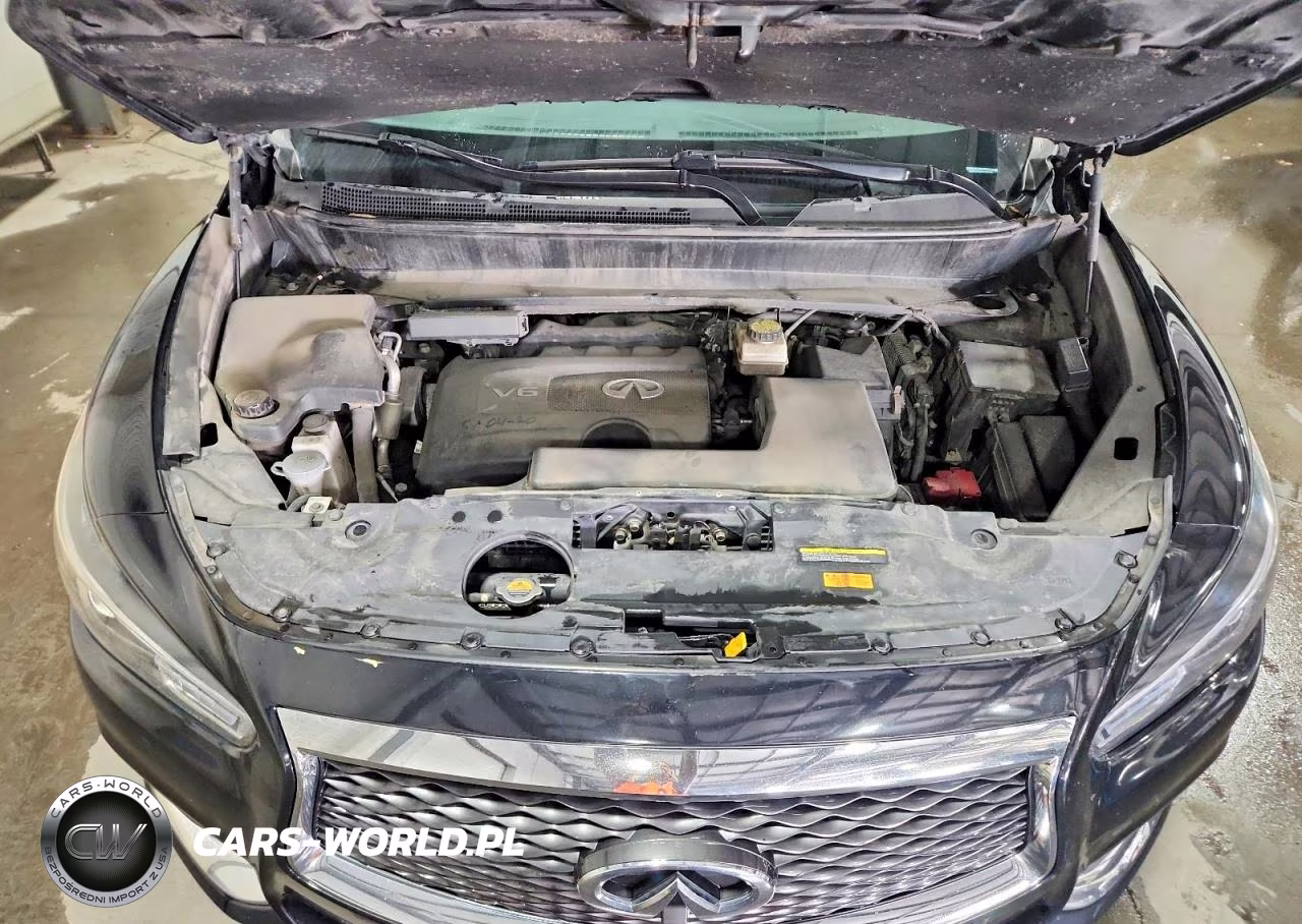 2019 Infiniti Qx60 Luxe VIN:5N1DL0MM6KC561340 - 11