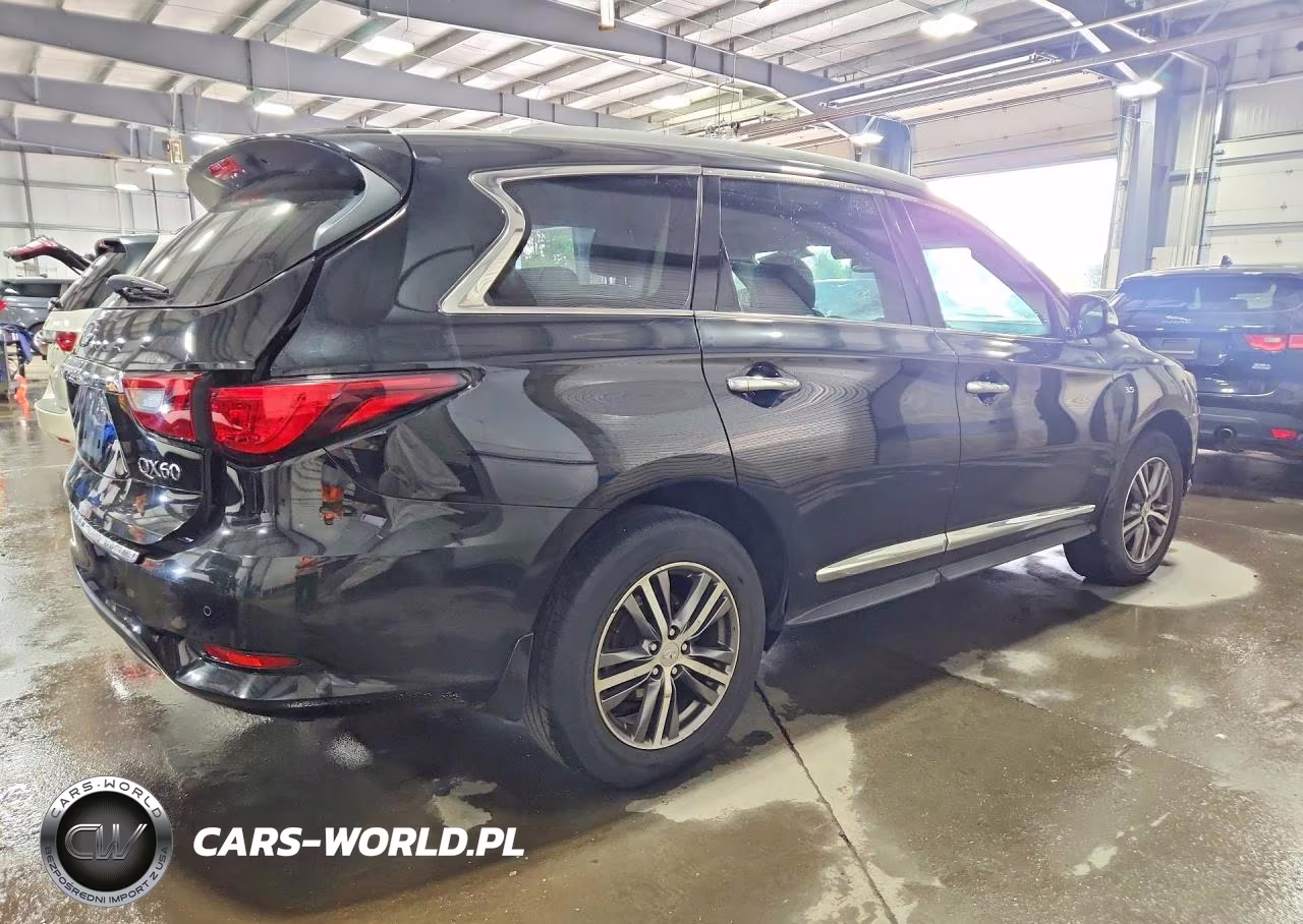 2019 Infiniti Qx60 Luxe VIN:5N1DL0MM6KC561340 - 3