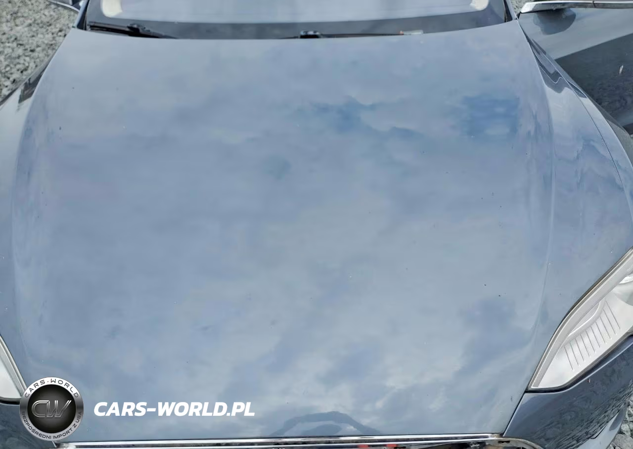 2013 Tesla Model S VIN:5YJSA1DP0DFP21655 - 11