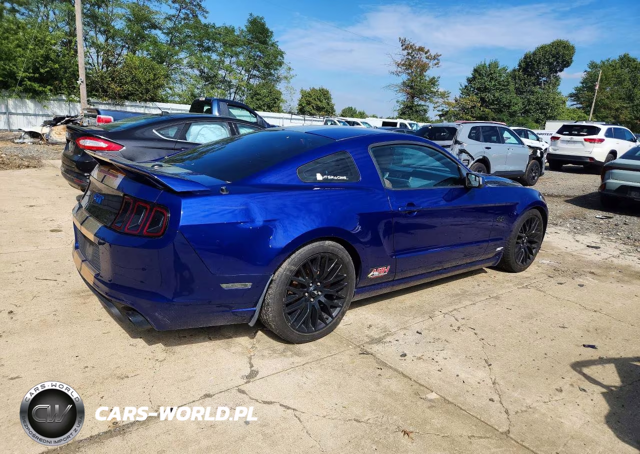 2013 Ford Mustang Gt VIN:1ZVBP8CF6D5201071 - 3