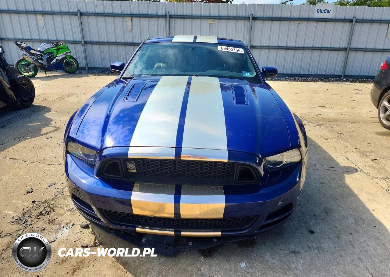 2013 Ford Mustang Gt VIN:1ZVBP8CF6D5201071 - 5