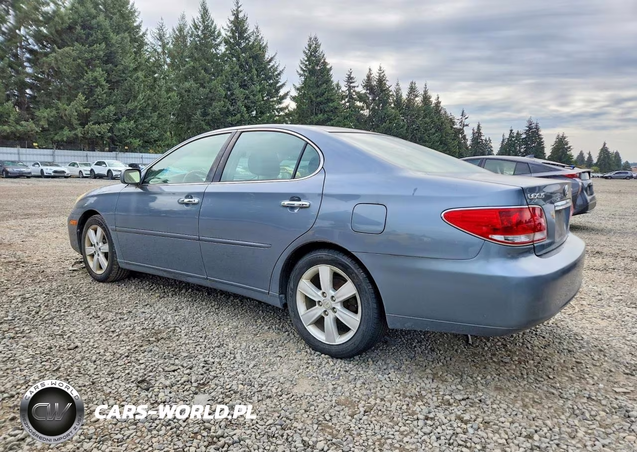 2005 Lexus Es 330 VIN:JTHBA30GX55108218 - 2