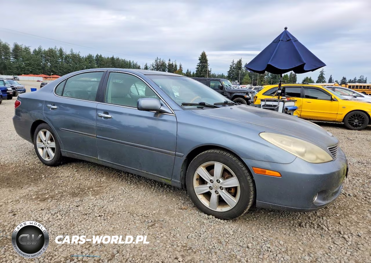 2005 Lexus Es 330 VIN:JTHBA30GX55108218 - 4