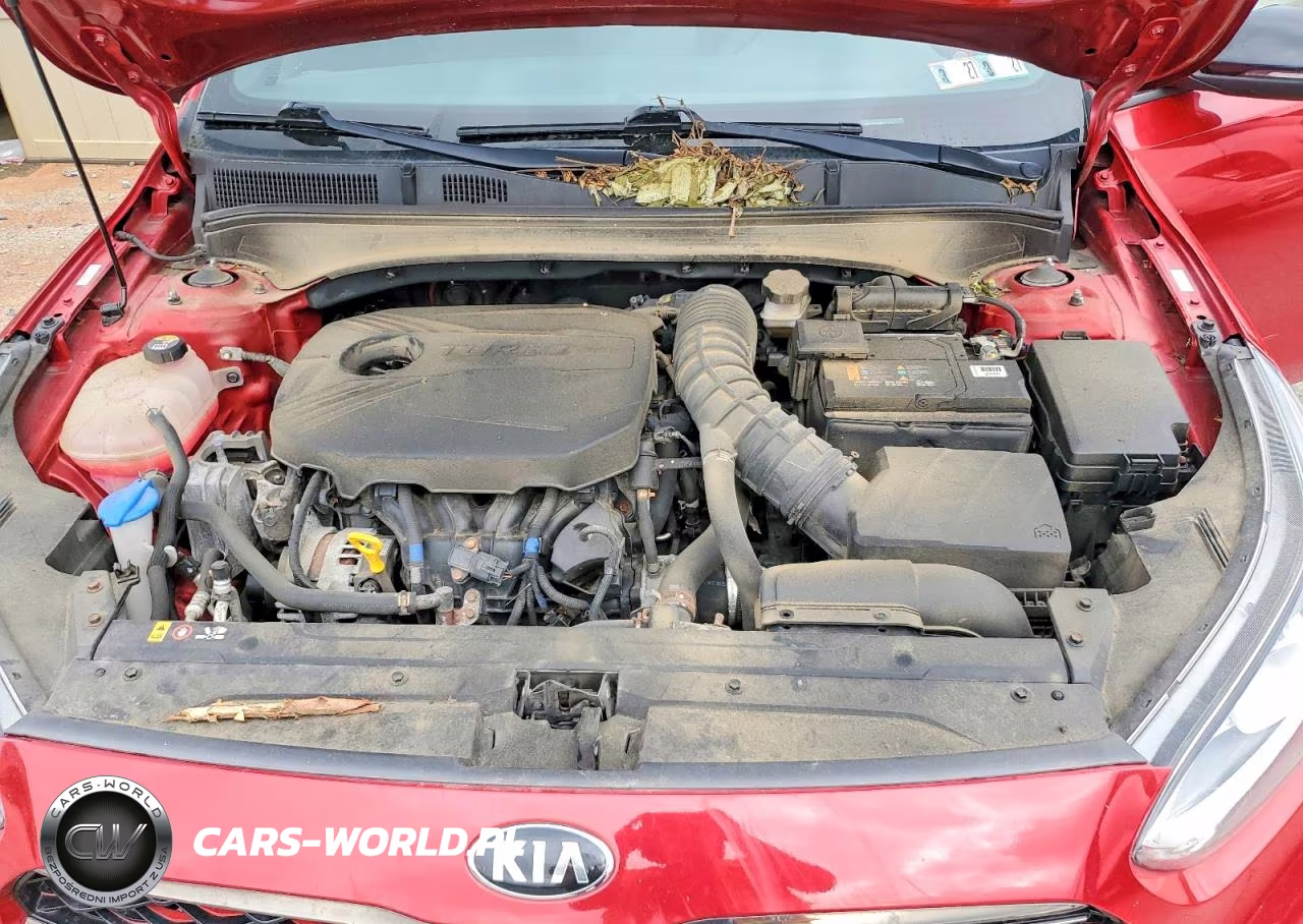 2021 Kia Forte Gt VIN:3KPF44AC2ME417423 - 11