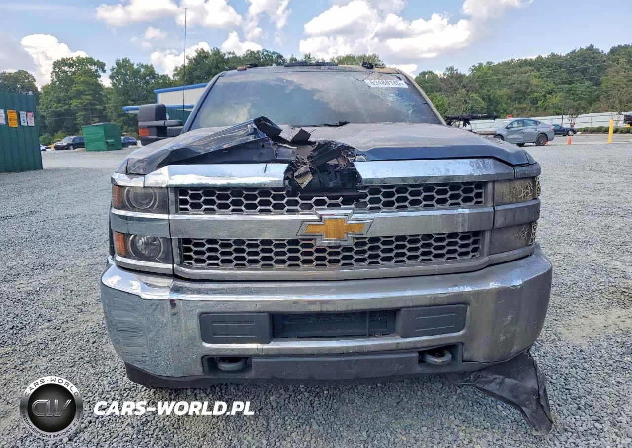 2019 Chevrolet Silverado K2500 Heavy Duty VIN:2GC2KREG0K1242940 - 5