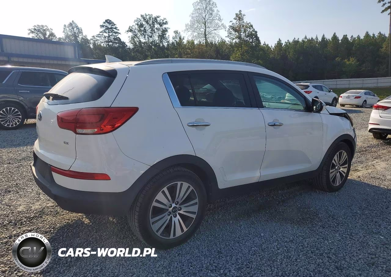 2016 Kia Sportage Ex VIN:KNDPC3AC0G7867075 - 3
