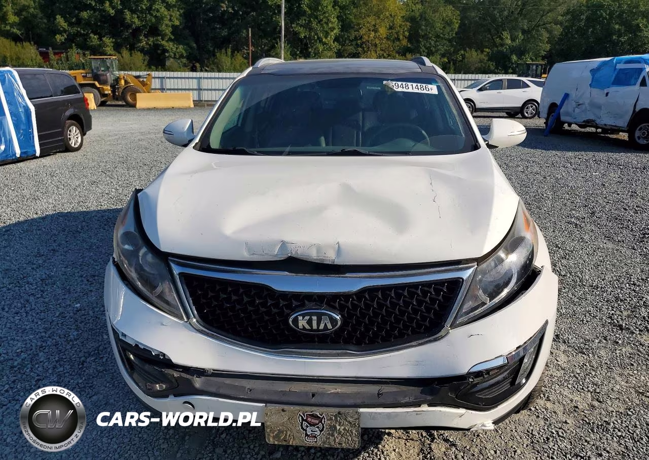 2016 Kia Sportage Ex VIN:KNDPC3AC0G7867075 - 5