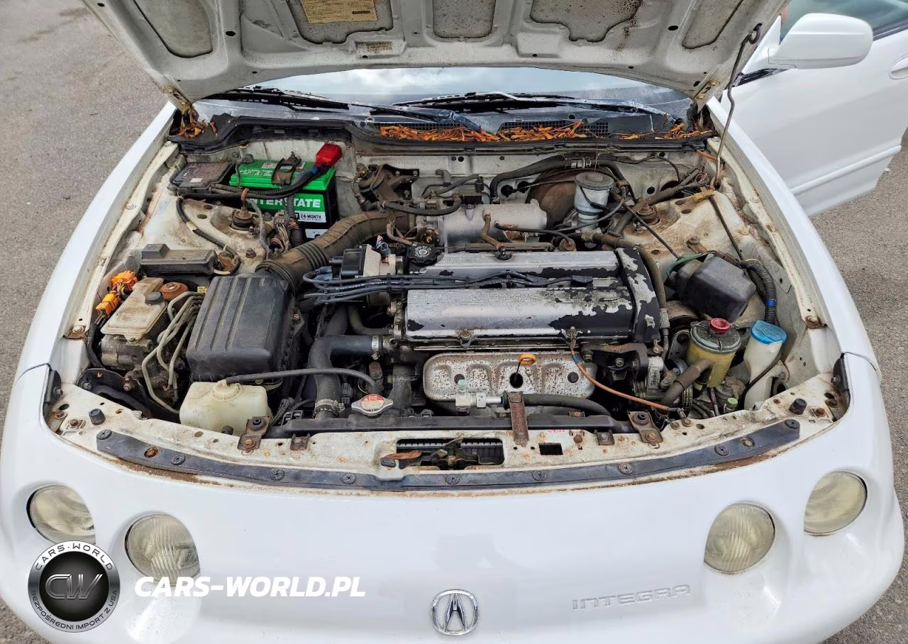 1996 Acura Integra Ls VIN:JH4DB7656TS001555 - 11