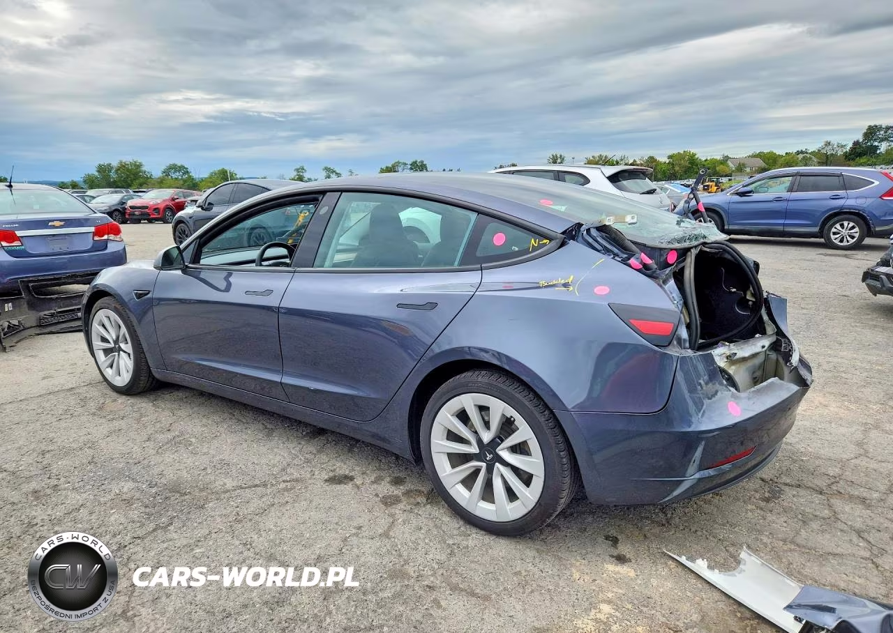 2023 Tesla Model 3 VIN:5YJ3E1EA0PF704622 - 2