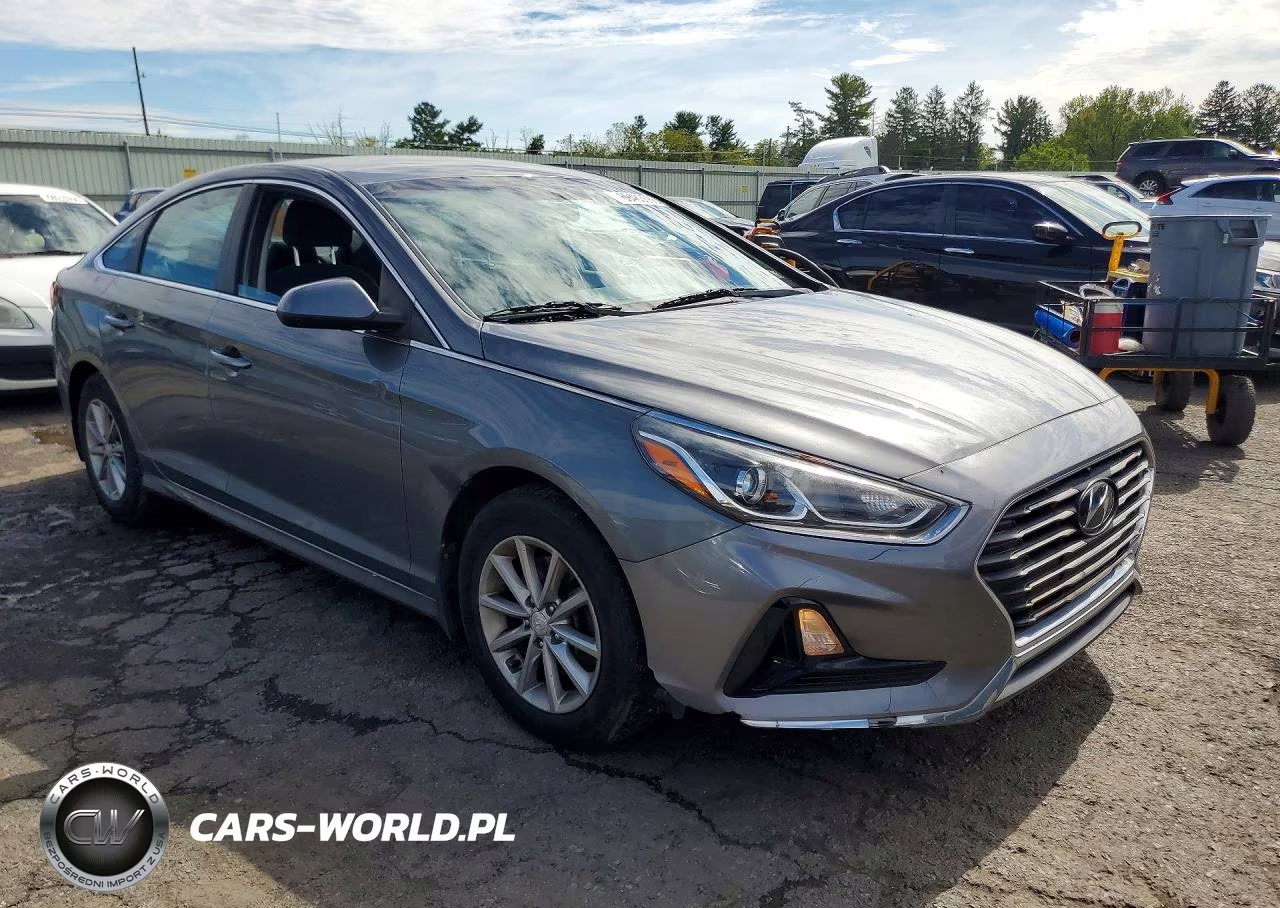 2019 Hyundai Sonata Se VIN:5NPE24AF0KH799388 - 4