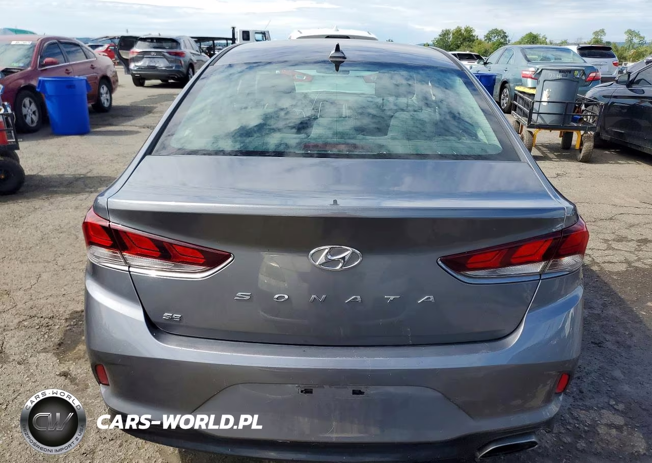 2019 Hyundai Sonata Se VIN:5NPE24AF0KH799388 - 6