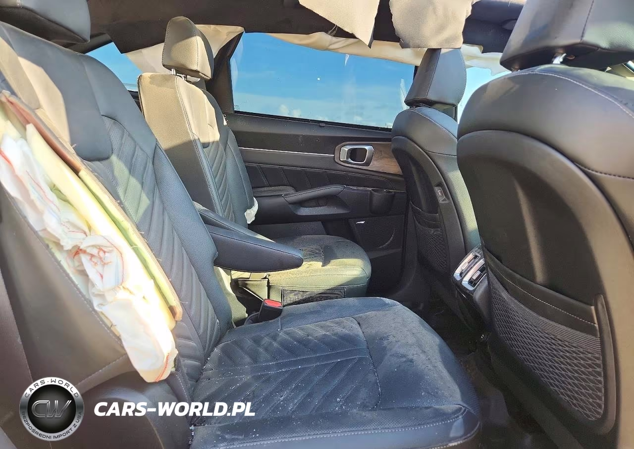 2024 Kia Sorento X-Line Sx Prestige VIN:5XYRKDJF9RG308089 - 11