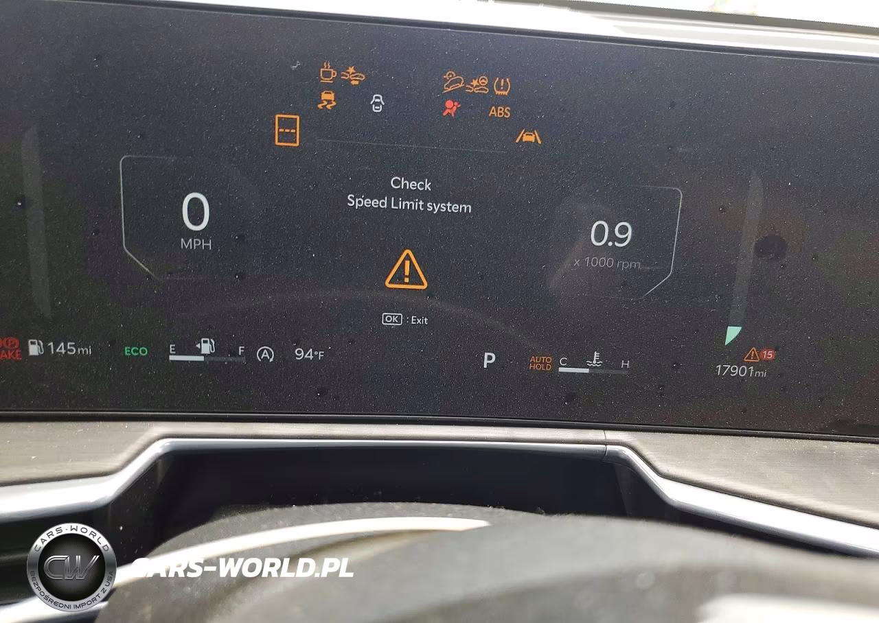 2024 Kia Sorento X-Line Sx Prestige VIN:5XYRKDJF9RG308089 - 9