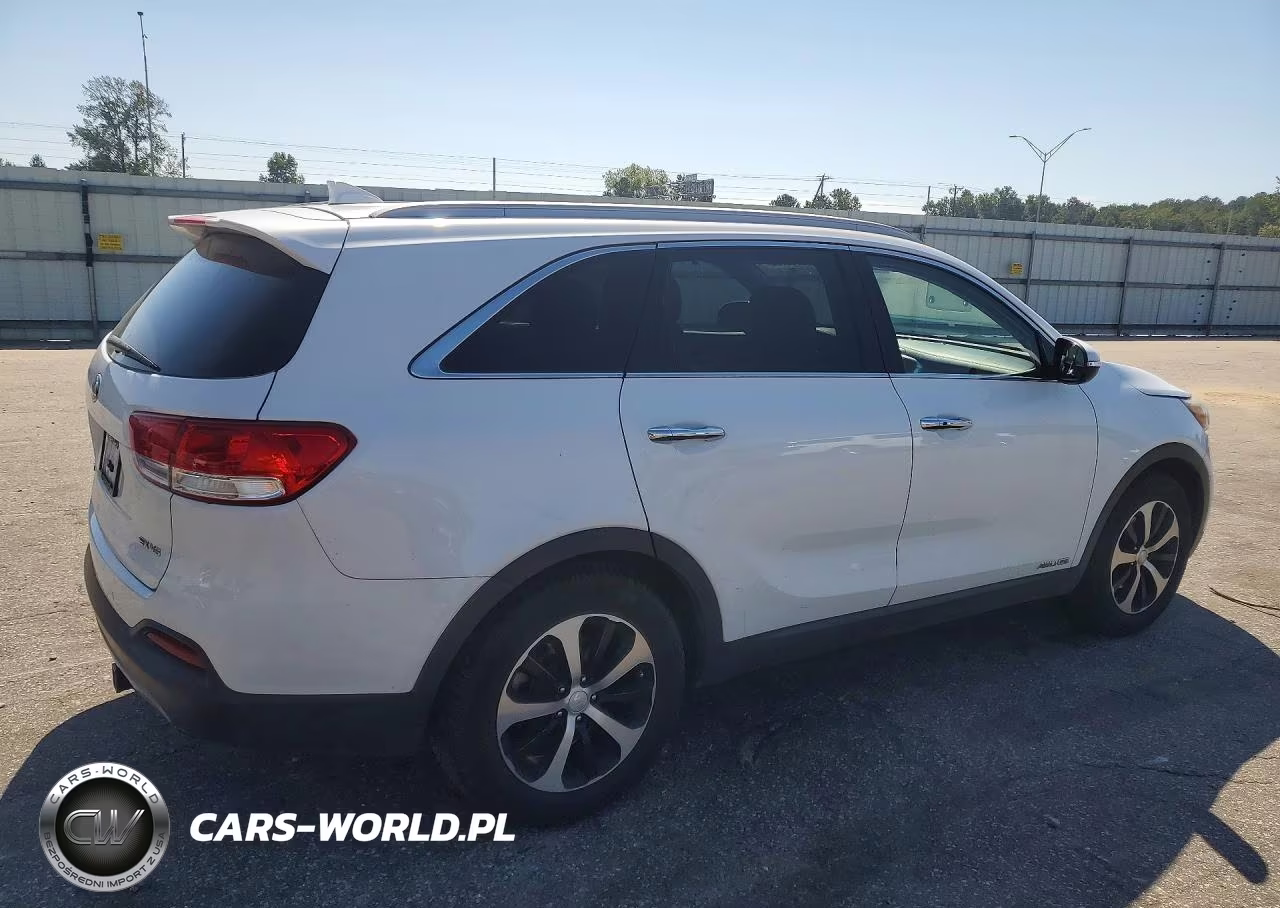 2017 Kia Sorento Ex VIN:5XYPHDA51HG323763 - 3