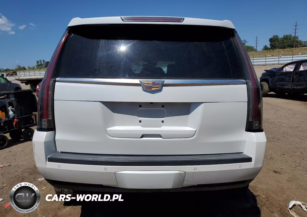 2016 Cadillac Escalade Platinum VIN:1GYS4DKJ3GR376590 - 6