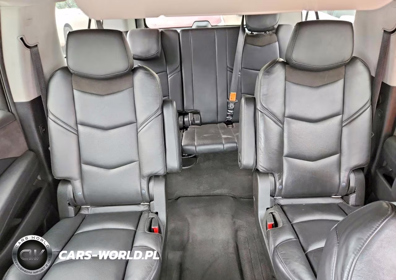 2020 Cadillac Escalade Esv 2Wd Luxury VIN:1GYS3HKJ1LR295821 - 10