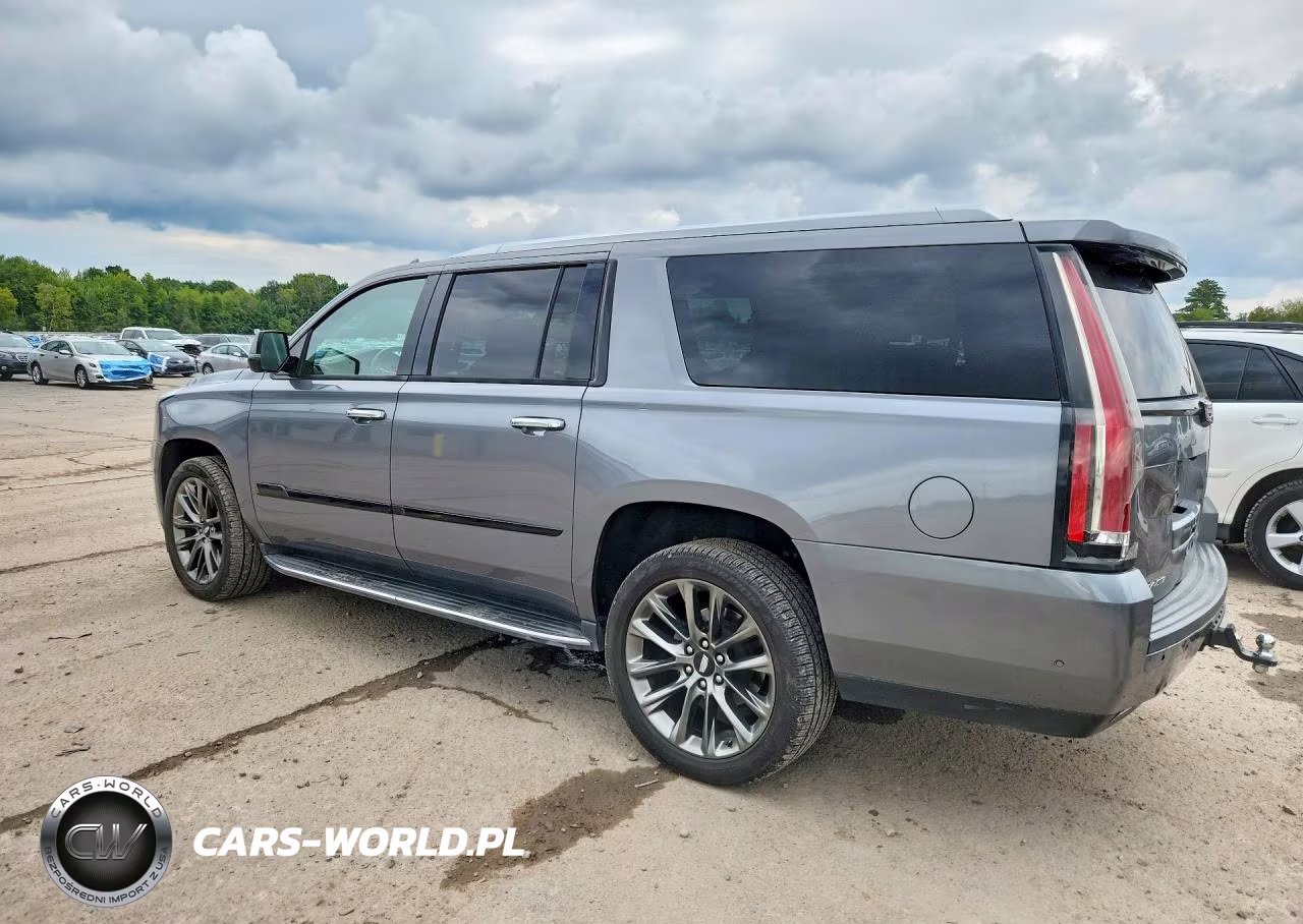 2020 Cadillac Escalade Esv 2Wd Luxury VIN:1GYS3HKJ1LR295821 - 2