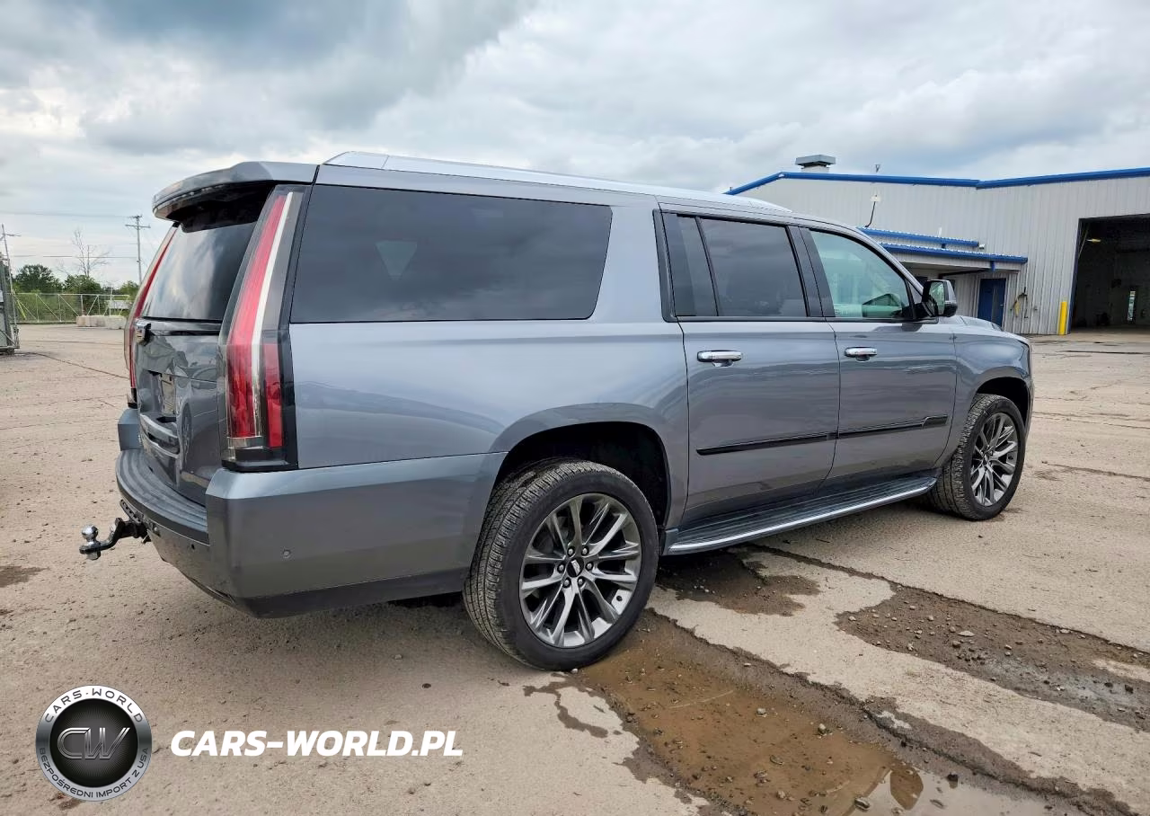 2020 Cadillac Escalade Esv 2Wd Luxury VIN:1GYS3HKJ1LR295821 - 3