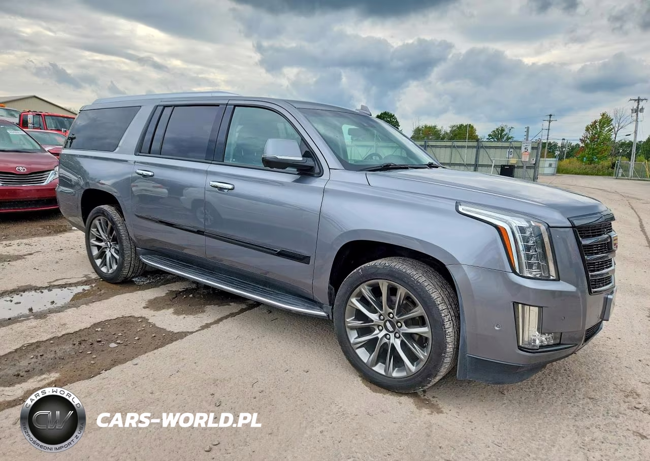 2020 Cadillac Escalade Esv 2Wd Luxury VIN:1GYS3HKJ1LR295821 - 4