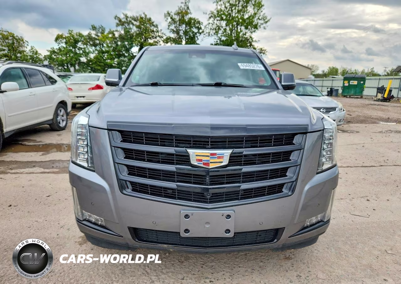 2020 Cadillac Escalade Esv 2Wd Luxury VIN:1GYS3HKJ1LR295821 - 5