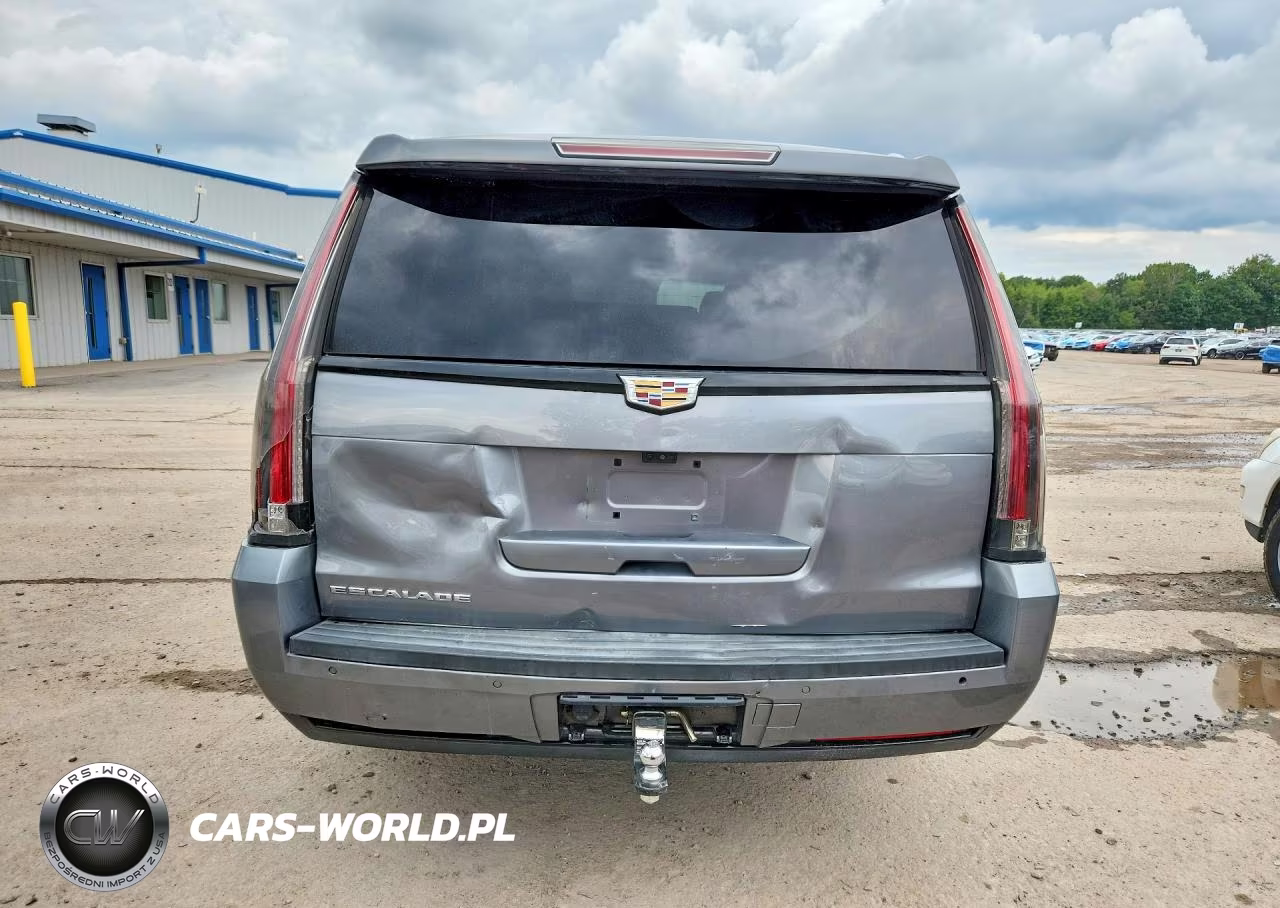 2020 Cadillac Escalade Esv 2Wd Luxury VIN:1GYS3HKJ1LR295821 - 6