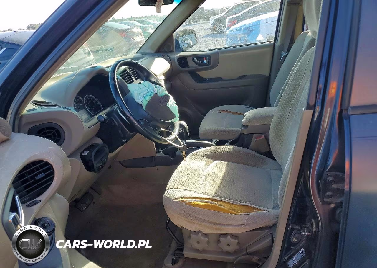2005 Hyundai Santa Fe Gls VIN:KM8SC13D85U958660 - 7