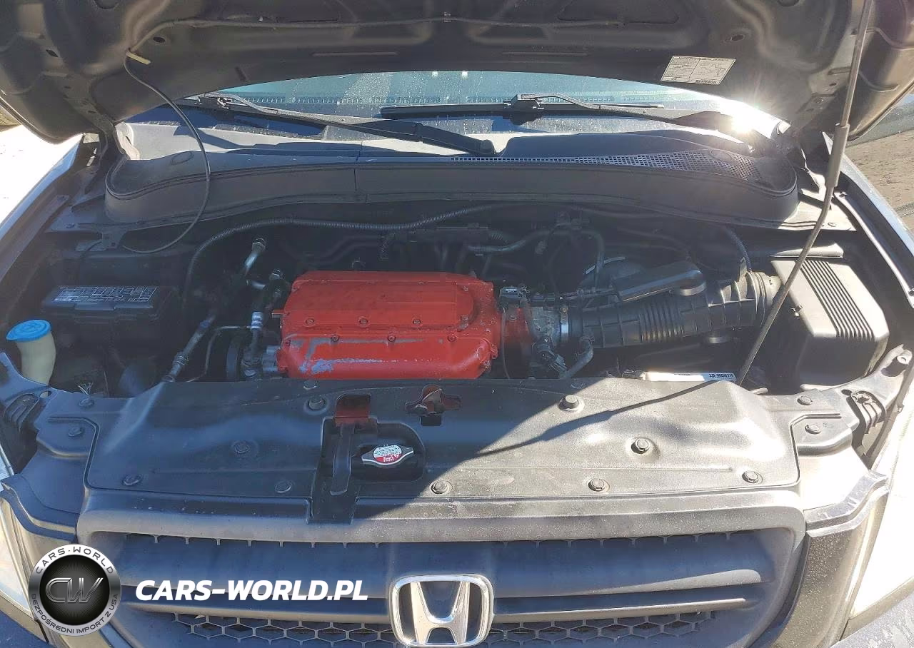 2004 Honda Pilot Exl VIN:2HKYF18514H585459 - 12